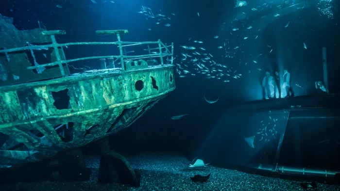Oceanographic Museum
